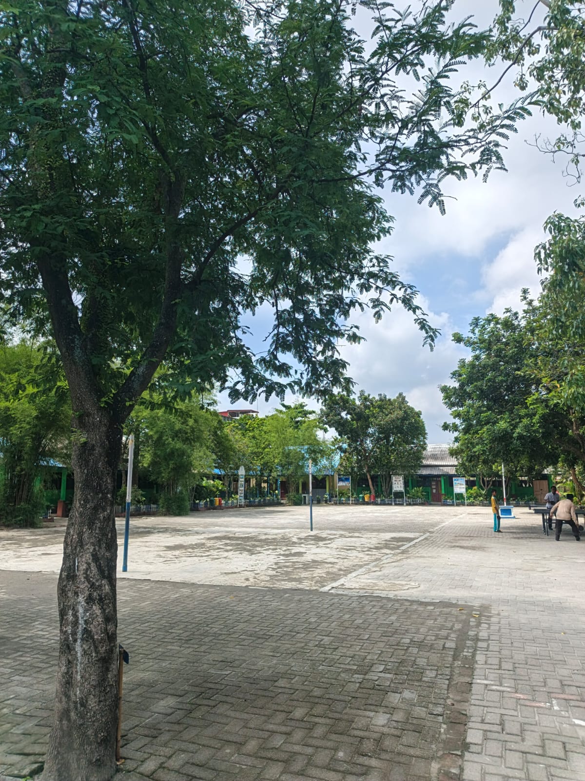 Lapang voli